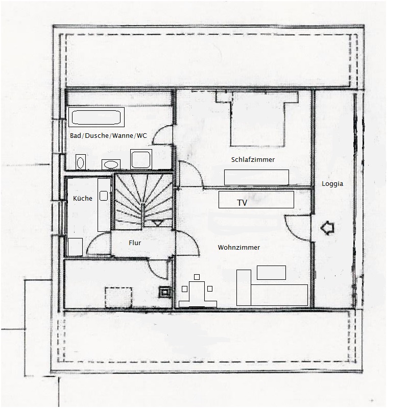 Plan Gaensebluemchen