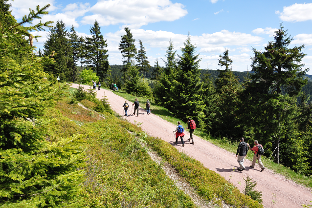 Other hiking trails in the area 