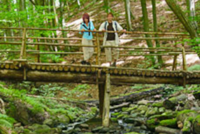 Weiselberg Wanderweg 